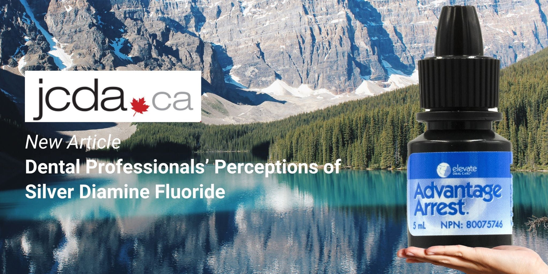 Dental Professionals’ Perceptions of Silver Diamine Fluoride Use for Children and Older Adults in Northern Ontario