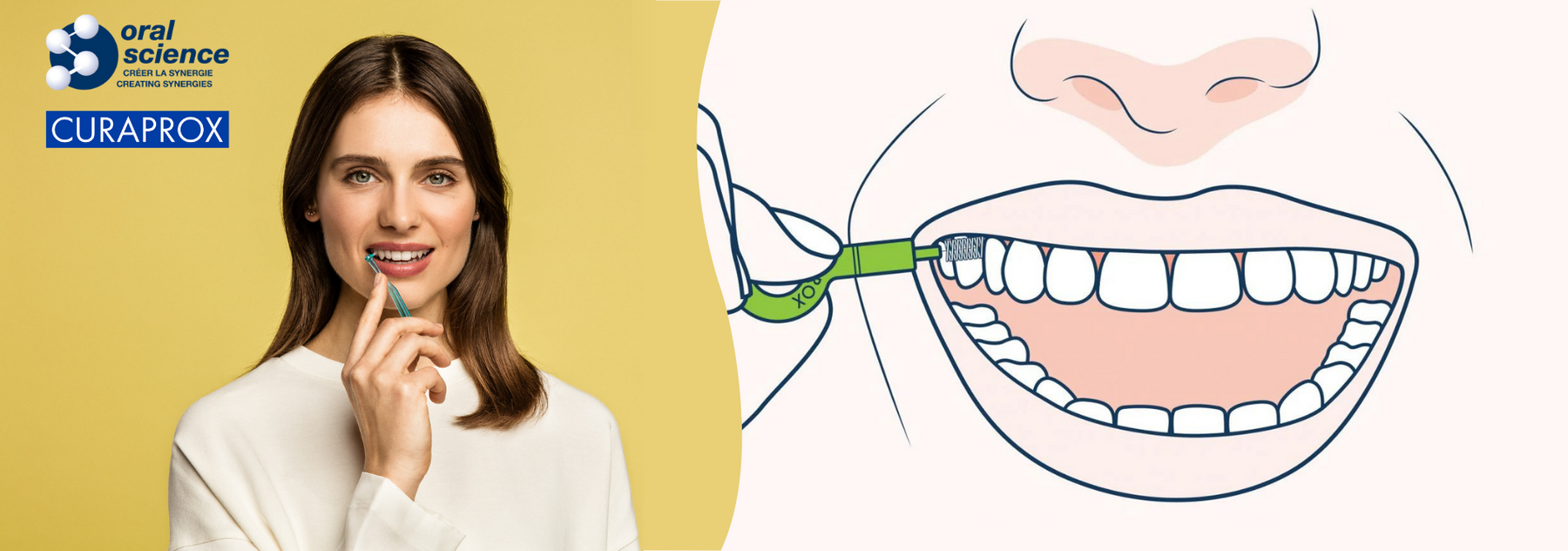 Everyone is talking about interdental brushing, but why do we need it?